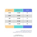 کفش بچه گانه اسپرت طرح پاندا - تصویر 2