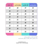 تیشرت و شلوارک پسرانه طرح لونی تونز - تصویر 2