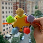 دندونی زنبوری - تصویر 2