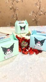 شانسی چی دخترانه - تصویر 5