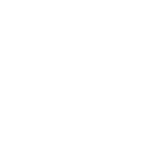 Nini Party flash sale tag